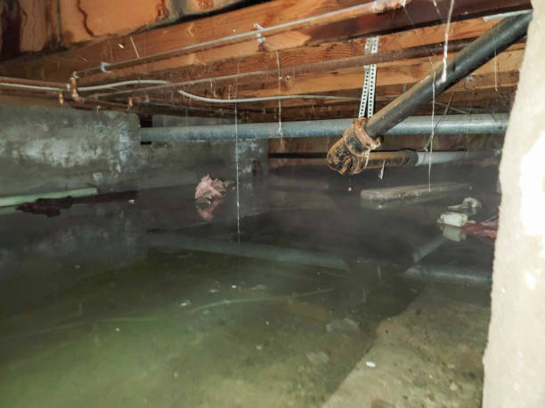 Best Emergency water damage restoration  in Pepeekeo, HI