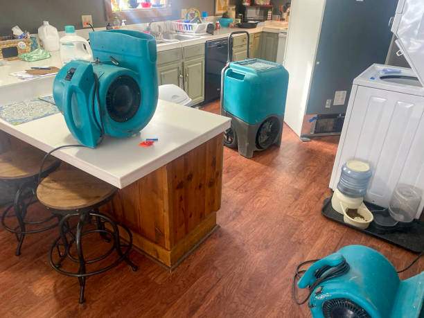 Best Flood damage cleanup  in Pepeekeo, HI