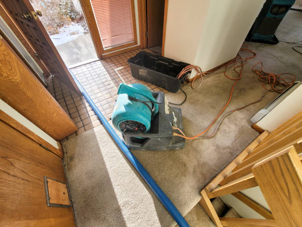 Reliable Pepeekeo, HI Water damage restoration Solutions