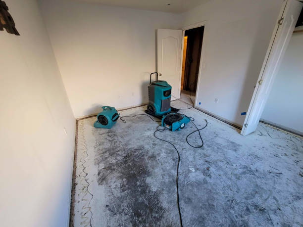Best Local water damage restoration  in Pepeekeo, HI