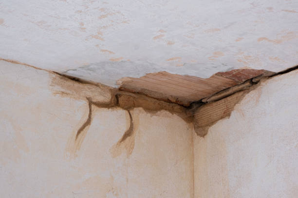 Best 24-hour water damage restoration  in Pepeekeo, HI