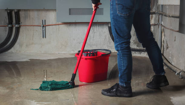 Best Commercial water damage restoration  in Pepeekeo, HI