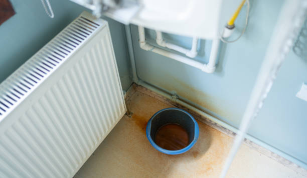 Local water damage restoration in Pepeekeo, HI