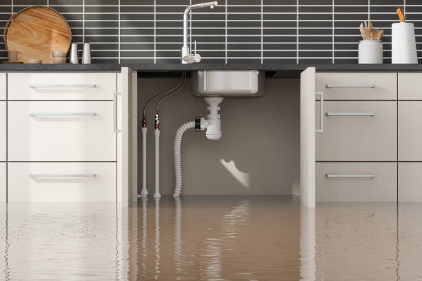 Best Flood damage cleanup  in Pepeekeo, HI