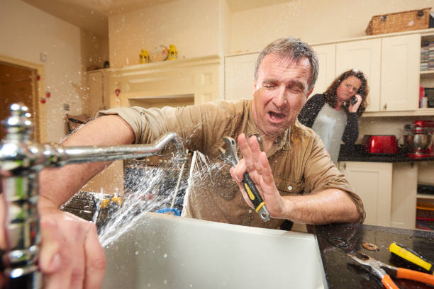Best Ceiling water damage repair  in Pepeekeo, HI